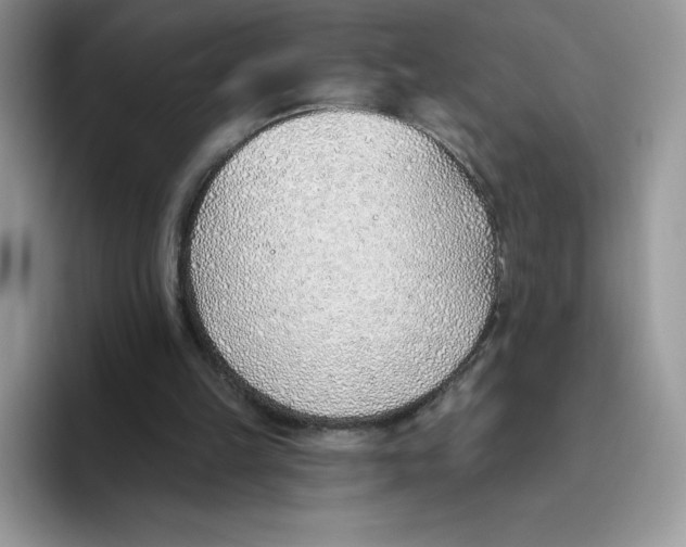 X0000093500149200711091709