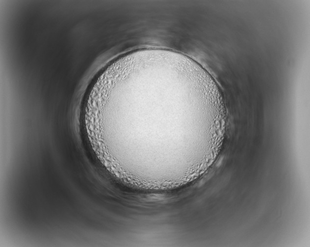 X0000093500151200711091709