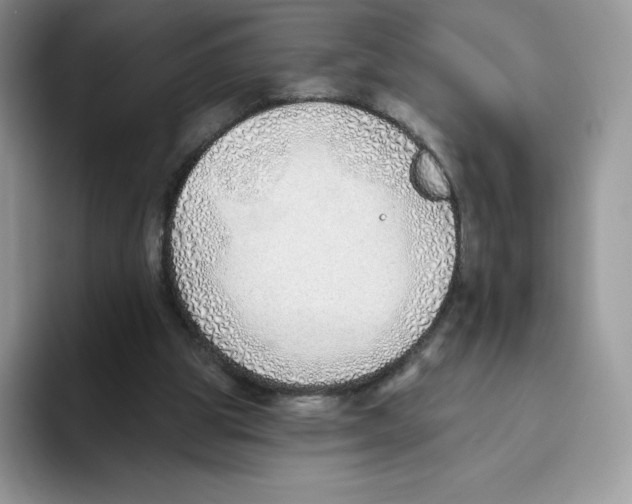 X0000093500153200711091709