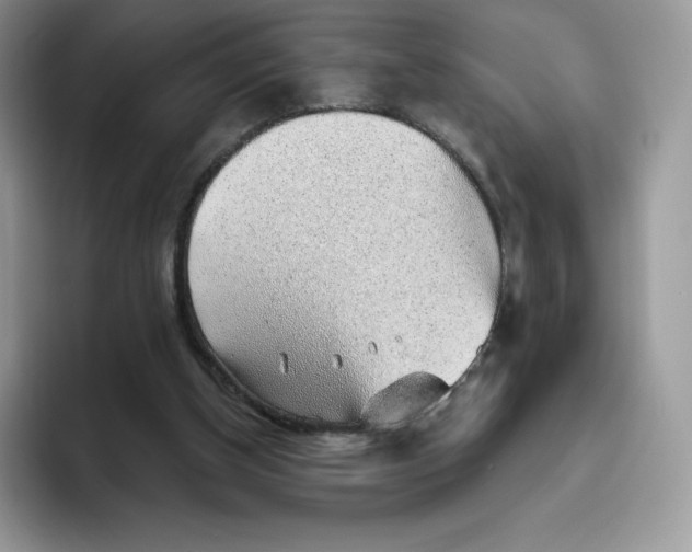 X0000093500154200711091709