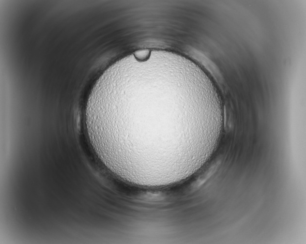 X0000093500157200711091709