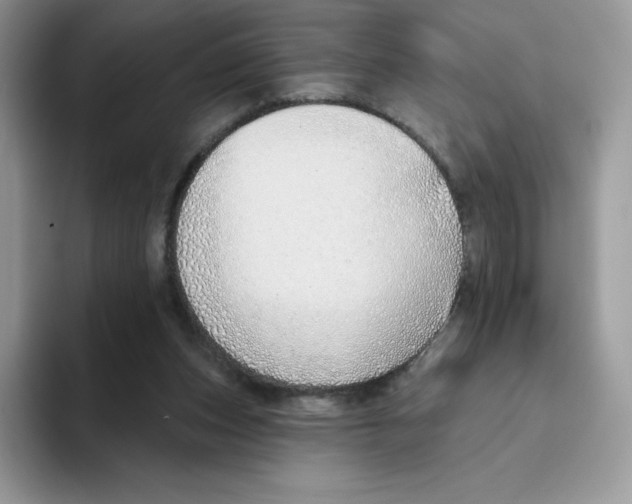 X0000093500159200711091709