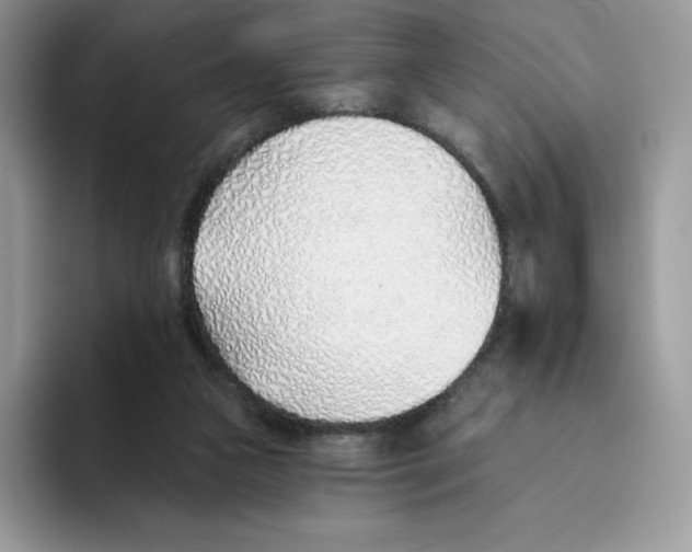 X0000093500161200711091709