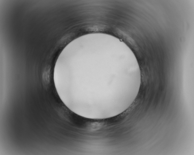 X0000093500163200711091709