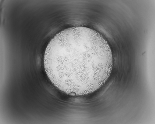 X0000093500165200711091709