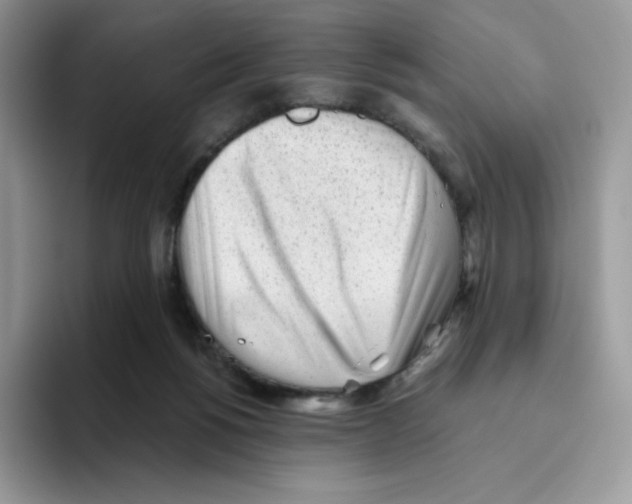 X0000093500168200711091709