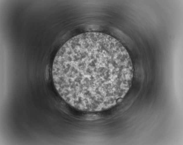 X0000093500169200711091709