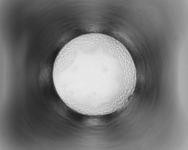 X0000093500171200711091709