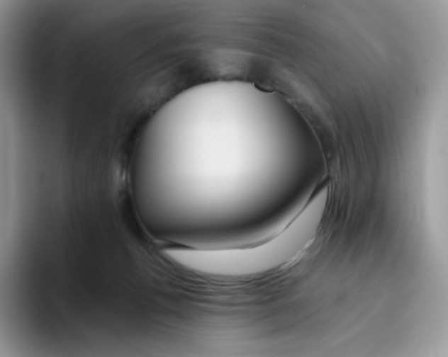 X0000093500176200711091709