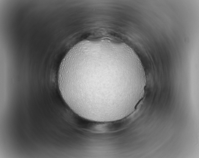 X0000093500178200711091709