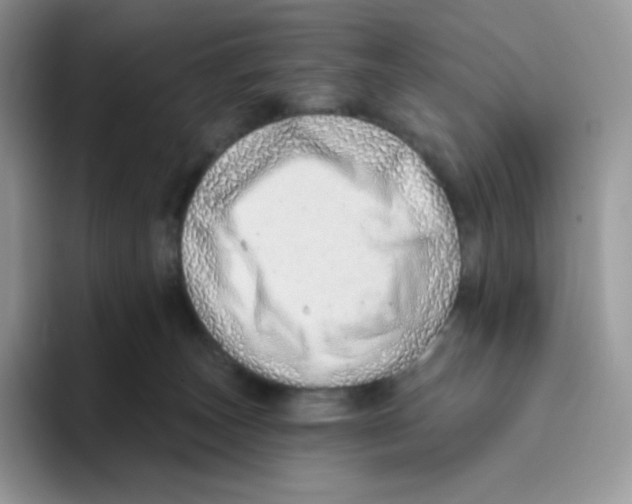 X0000093500179200711091709