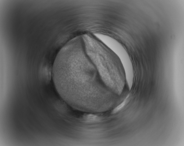 X0000093500180200711091709