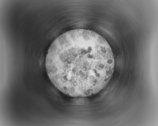 X0000093500181200711091709