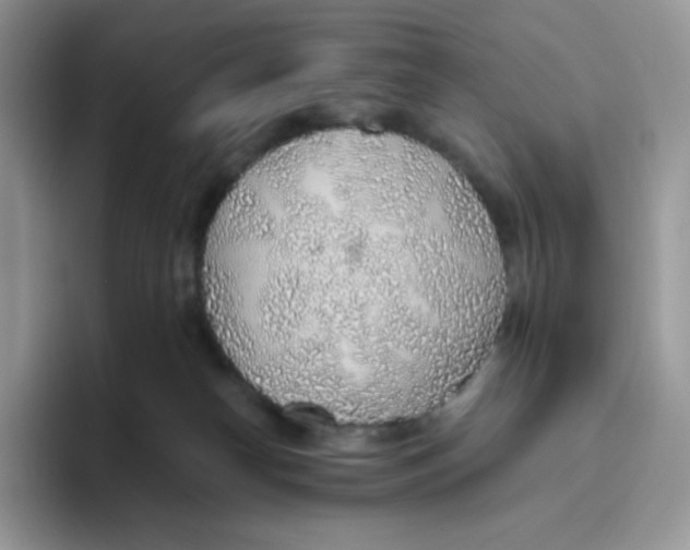 X0000093500182200711091709