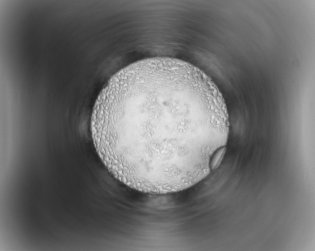 X0000093500185200711091710