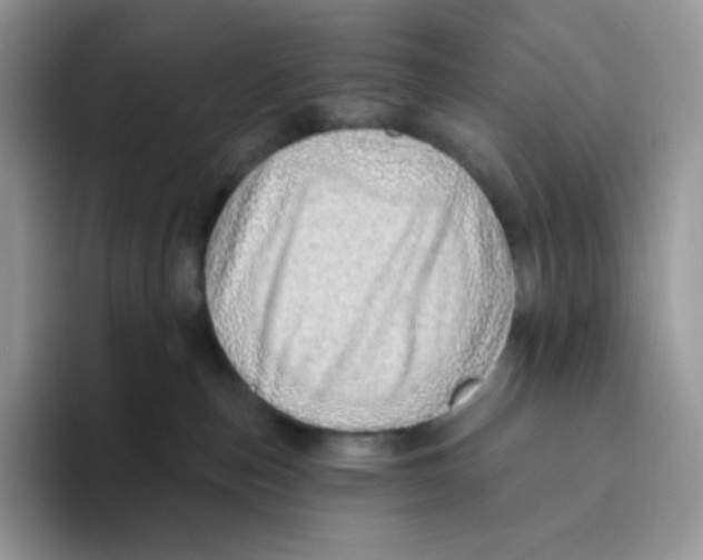 X0000093500187200711091710