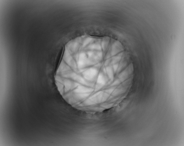 X0000093500192200711091710