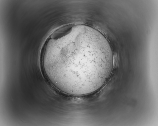 X0000093500195200711091709