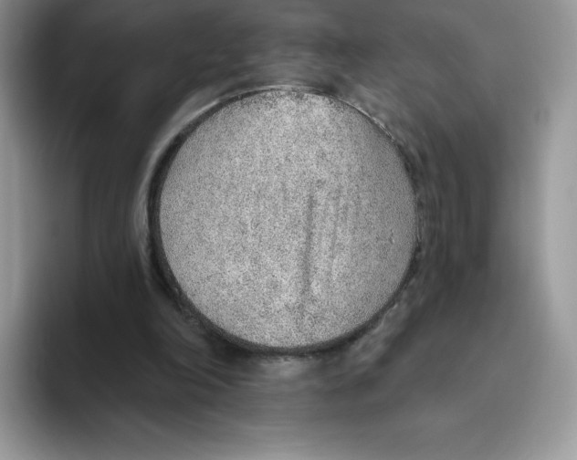 X0000093500198200711091709