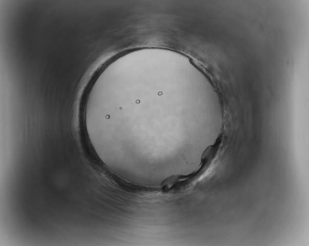 X0000093500200200711091709