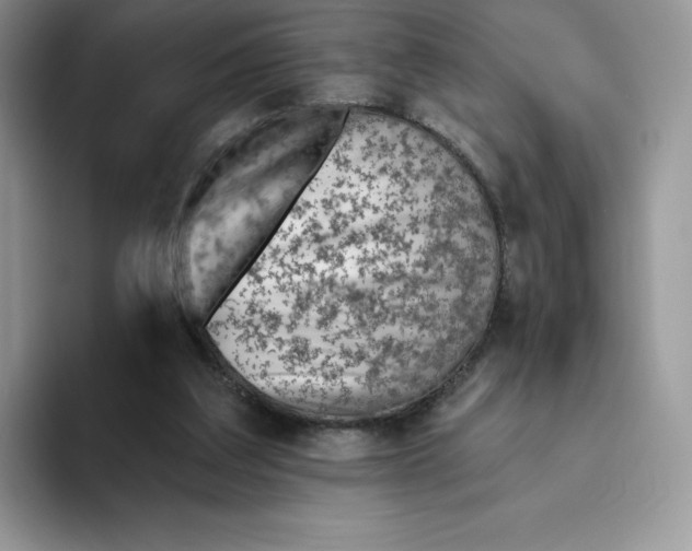 X0000093500203200711091709