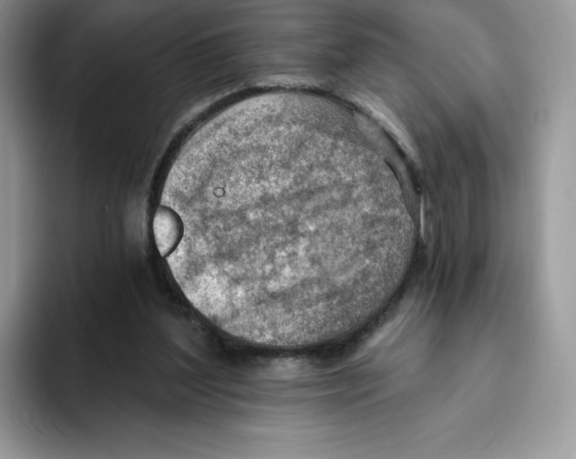 X0000093500204200711091709