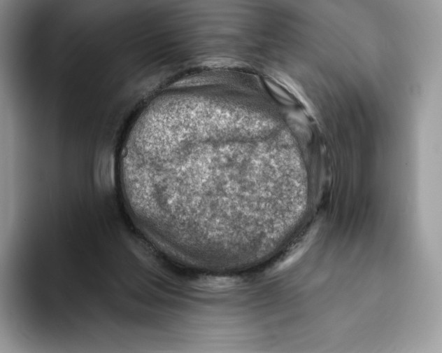 X0000093500205200711091709