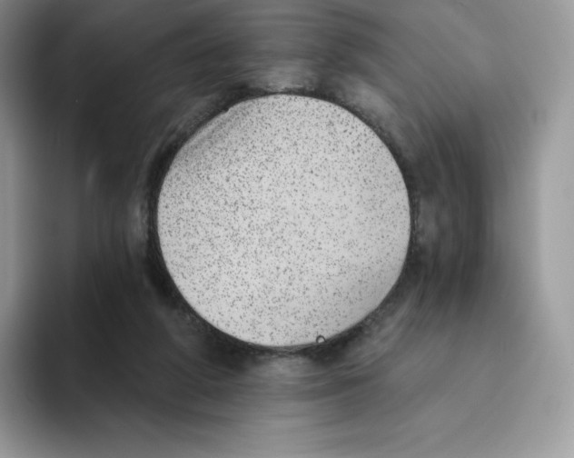 X0000093500210200711091709