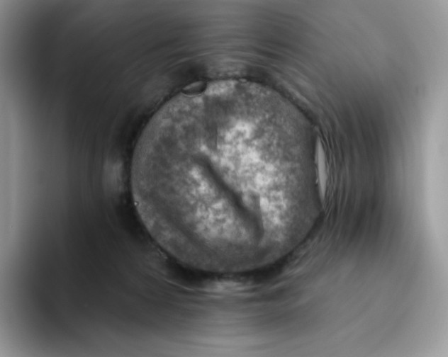 X0000093500224200711091709