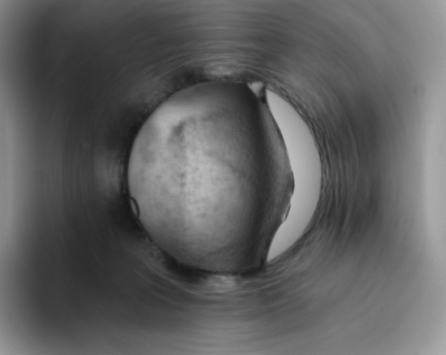 X0000093500227200711091709