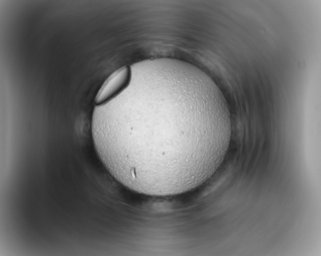 X0000093500228200711091709