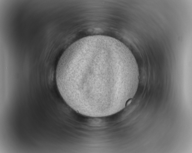 X0000093500230200711091709