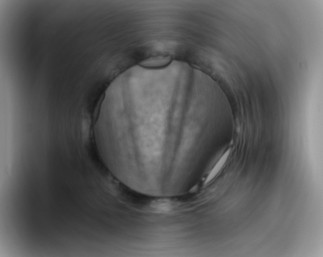 X0000093500231200711091709