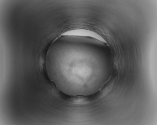 X0000093500235200711091709