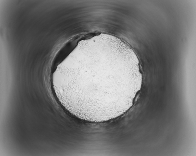 X0000093500241200711091708