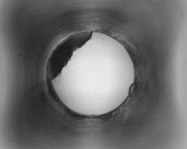 X0000093500242200711091708