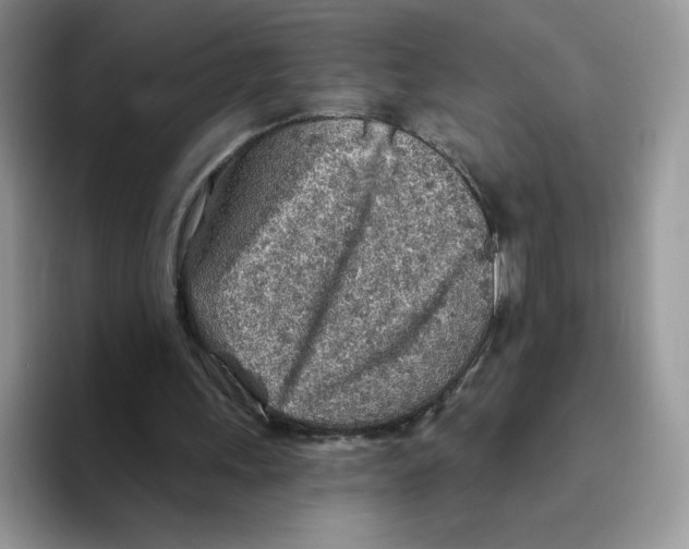 X0000093500243200711091708