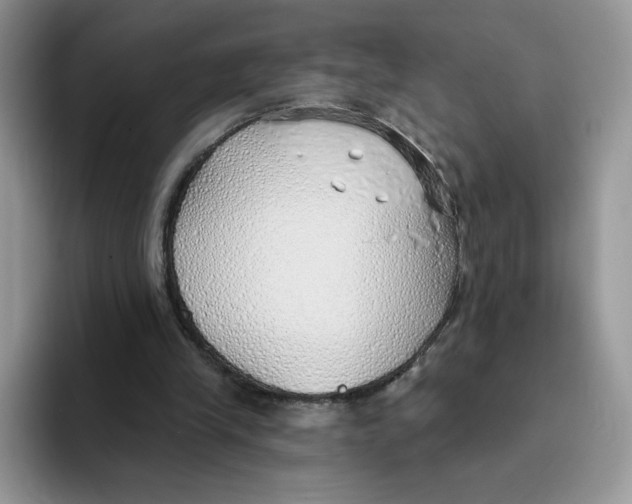 X0000093500245200711091708