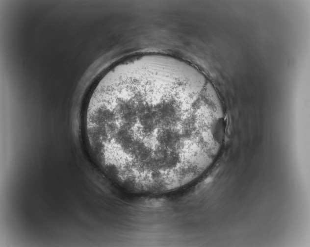 X0000093500247200711091708