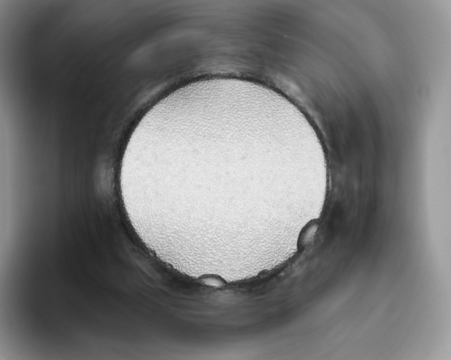 X0000093500249200711091708