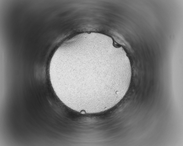 X0000093500250200711091708