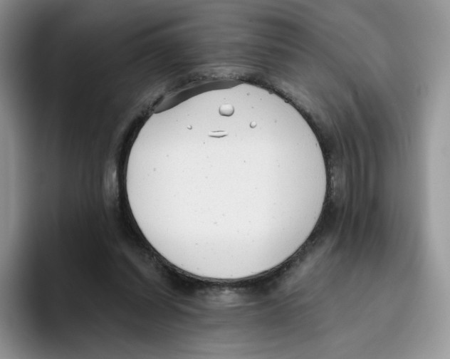 X0000093500254200711091708