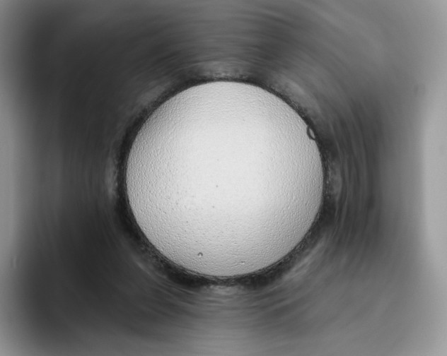 X0000093500255200711091708