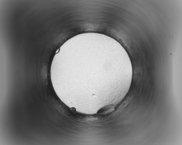 X0000093500257200711091708