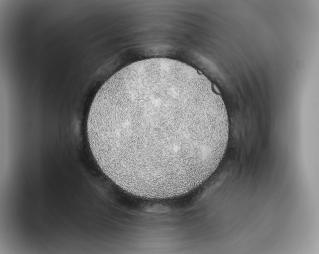 X0000093500258200711091708