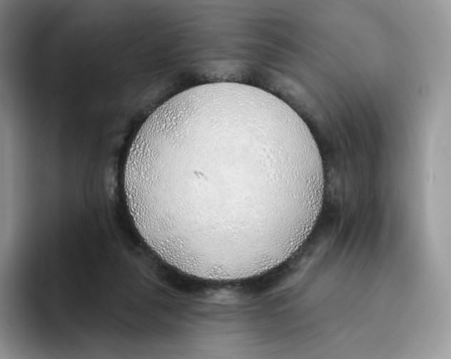 X0000093500259200711091708