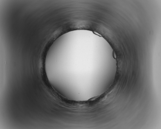 X0000093500260200711091708