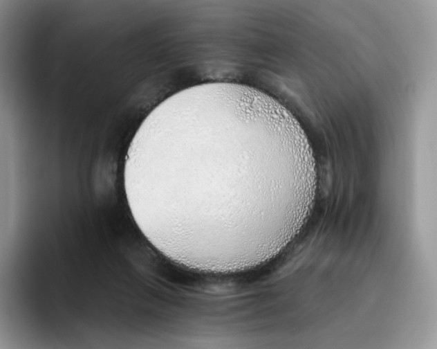 X0000093500263200711091708