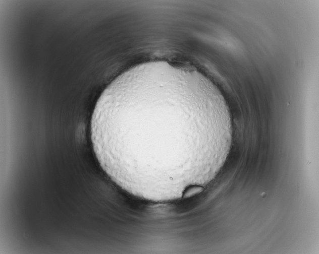 X0000093500269200711091708