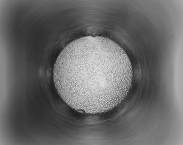 X0000093500271200711091708